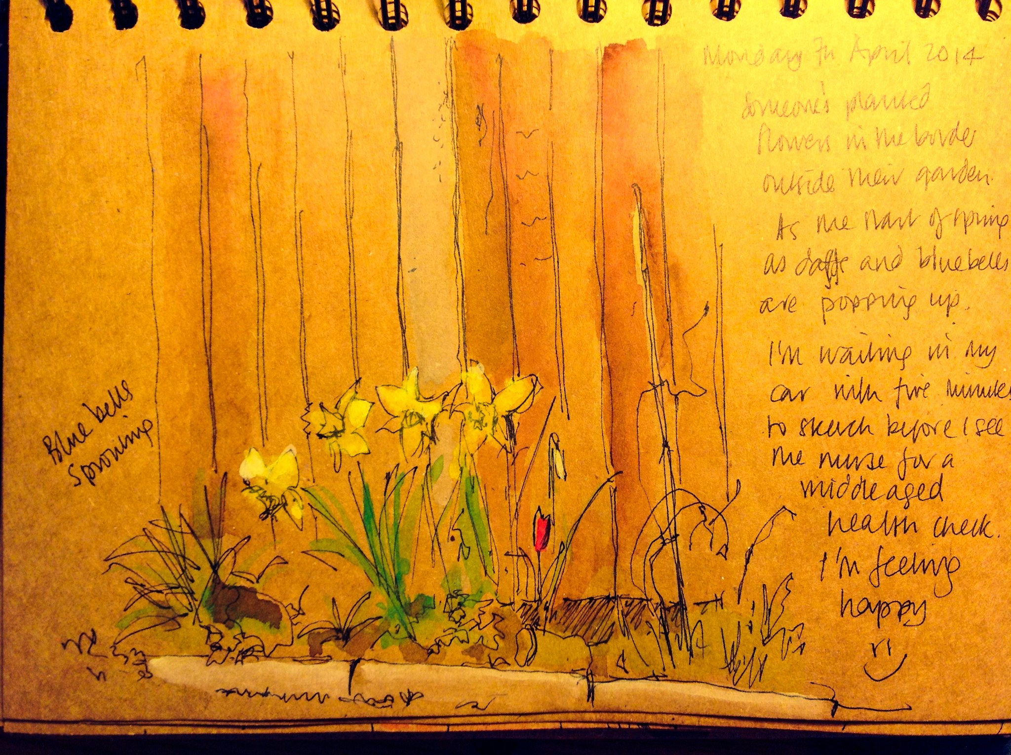 Spring Daffodils by the roadside