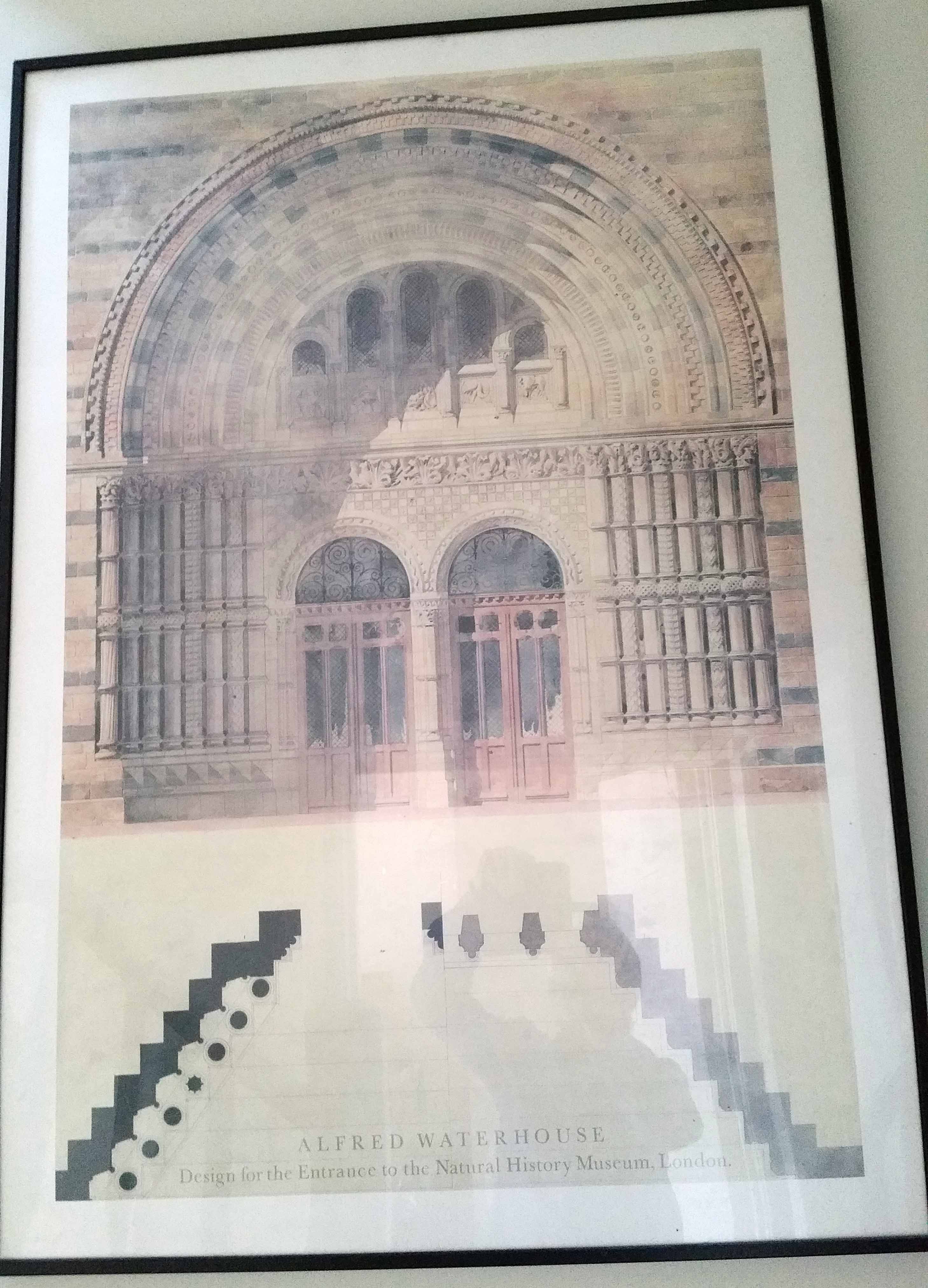 poster of Natural History Museum