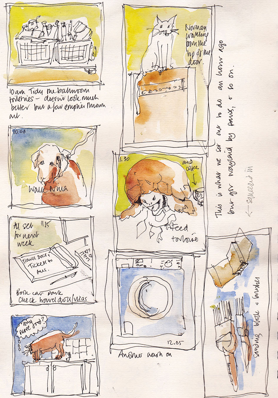 morning sketches tortoise, dog and cat
