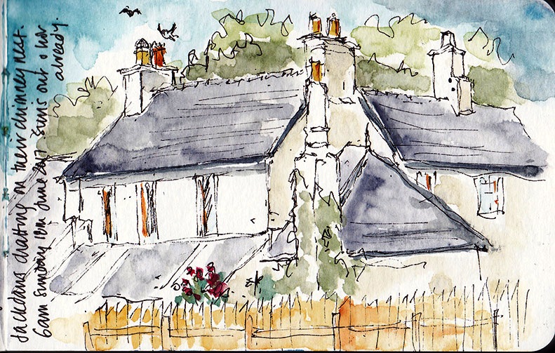 Jackdaws on the chimneys