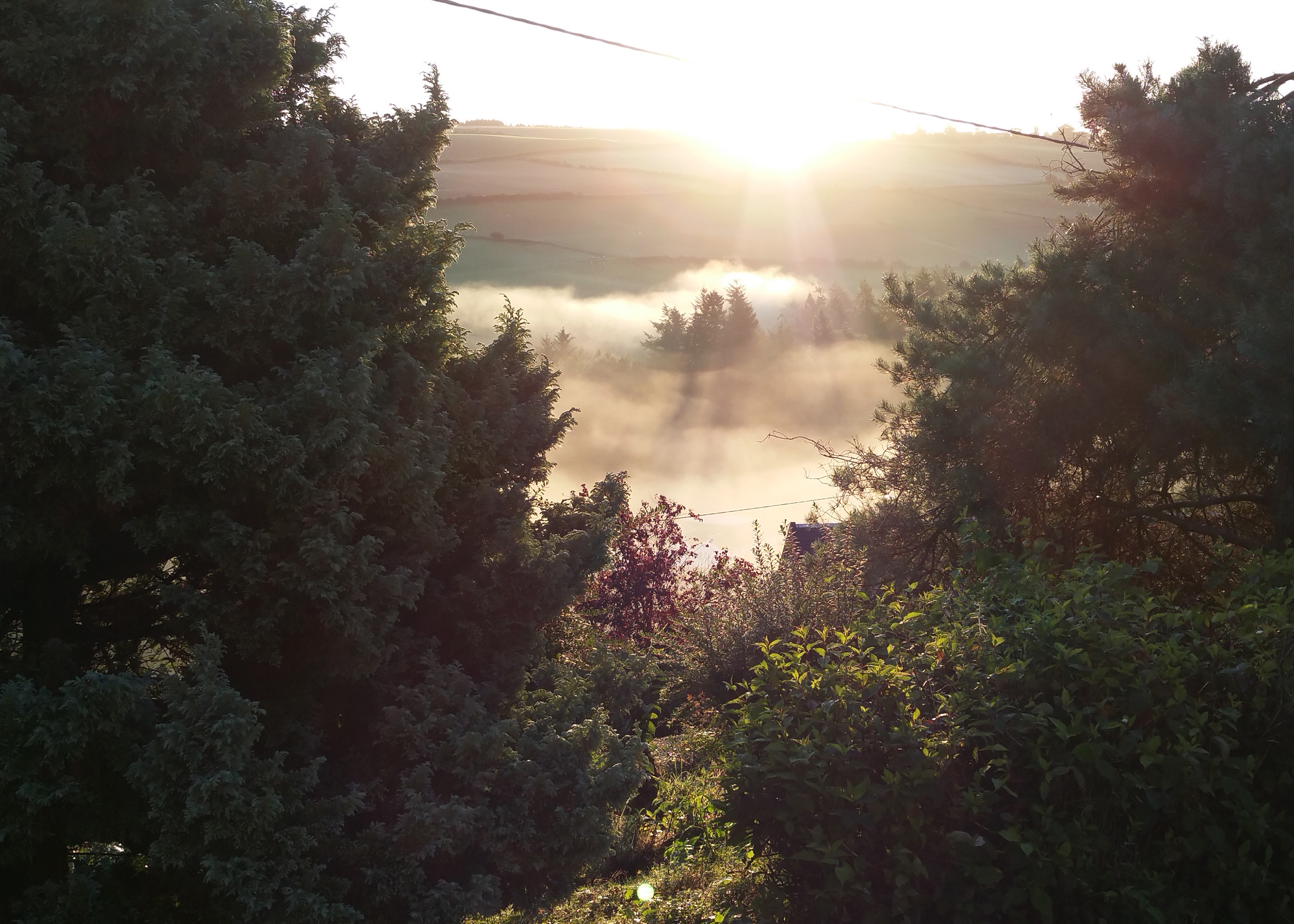 Clyde valley ronnie cruwys home view 1.jpg
